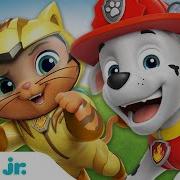 Paw Patrol Cat Pack