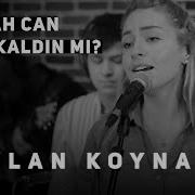 Ceylan Kaldın Mı