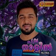 Saleem Kodathoor Palanalil