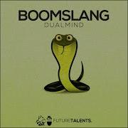 Boomslang Dualmind