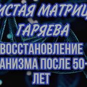 Чистые Матрицы Гаряева