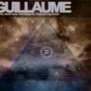 Techhouse Flu Guillaume