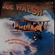 The Eagles Rocky Mountain Way Joe Walsh