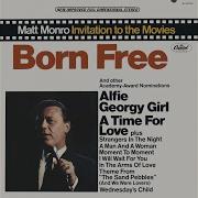I Will Wait For You Matt Monro