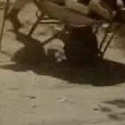 Оллохим Узи Хаммамиз Асрасин