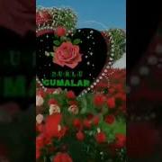Bu Gün Cuma Bayram Günü