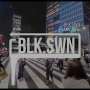 Blk Swn Plane Jane