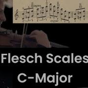 Carl Flesch Violin