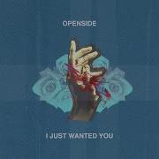 I Just Wanted You Openside