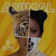 Animal Feat Laton Supa Squad