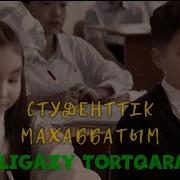 Элегазы Торкара Судентетик Махаббатым