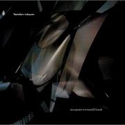 Amon Tobin Marine Machines