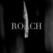 Roach Lionaire