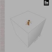 Groove Template Rock On The Craft
