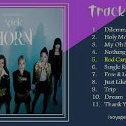 Apink Horn Album