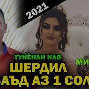 Шердил Баъд Аз Як Сол