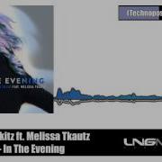 In The Evening Feat Melissa Tkautz Technoposse Remix Edit Nick Skitz