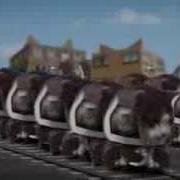 Meow Cyriak Speed