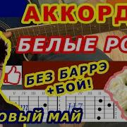 Белые Розы На Гитаре