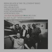 Brian Blade Perceptual