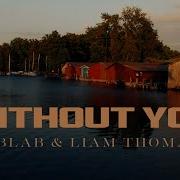 Sublab Without You Feat Liam Thomas