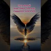 Путь Домой Глава 433