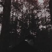 Warykid Листья Падали На Землю