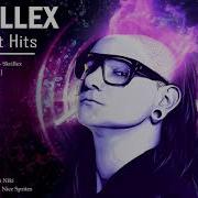 Top 30 Skrillex