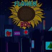 Flowerboy Erase Me