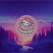 Bongo Cat Intentions Justin Bieber