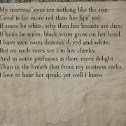 Shakespeare Sonnet 130