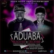 Aduaba Feat Dr Cryme Black Kat Gh