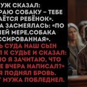 Муж Сказал Я Забираю Собаку Тебе Достаётся Ребёнок Свекровь Засмеялась Собака Хоть Дрессированная