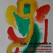 Tabia Gil Bokobza Ngyanibiza Dj Tomer And Ricardo Voodoo Tribe Remix