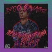 3400 Savage Thouxanbanfauni