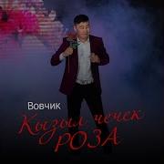 Вовчик Кызыл Чечек Роза