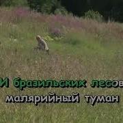 Караоке Русские Песни Я В Весеннем Лесу Karaoke
