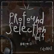 Fake Well Profound Selections Vol 004 100 Production Mix Popzdedeejay