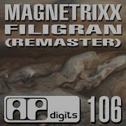 Magnetrixx Filigran