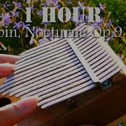 Nocturne Op 9 No 2 Chopin Kalimba 칼림바