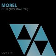 Morel Nesh