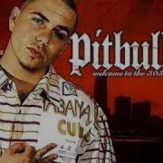 Pitbull Feat Lmfao Rubber On Original