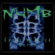 Numb Bliss Fundamentalist