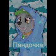 Щенячий Патруль Рокки И Скай Любимка