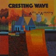 Cresting Wave Are You