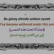 Dilenmem Ali Navab