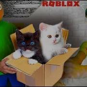 Забрал Котят Baldi В Реальной Жизни Балди Папа Basics Котенок Не
