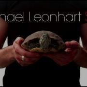 Slow Michael Leonhart