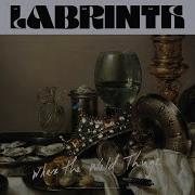 Labrinth Where The Wild Things