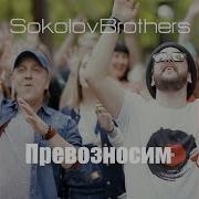 Sokolovbrothers Дотянусь Ремикс